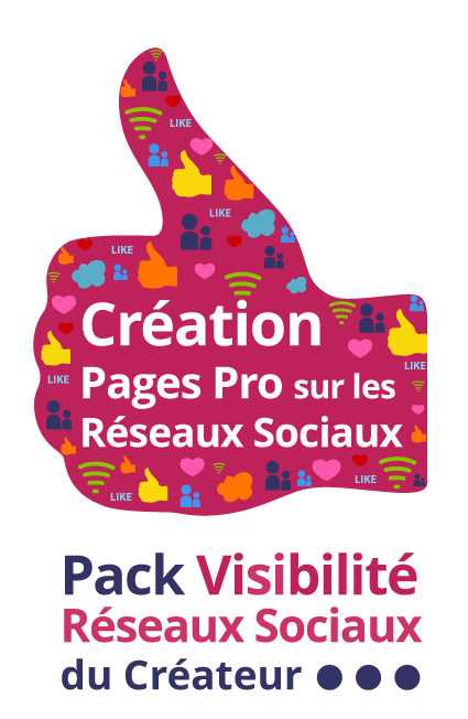 Pack visibilité réseaux sociaux du créateur : Création de pages professionnelles sur les réseaux sociaux - Agence ekooo Maisons-Alfort (94)
